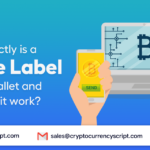 <strong>What exactly is a White Label Crypto Wallet and how does it work?</strong>