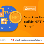 Who Can Benefit from a rarible NFT Marketplace Script?