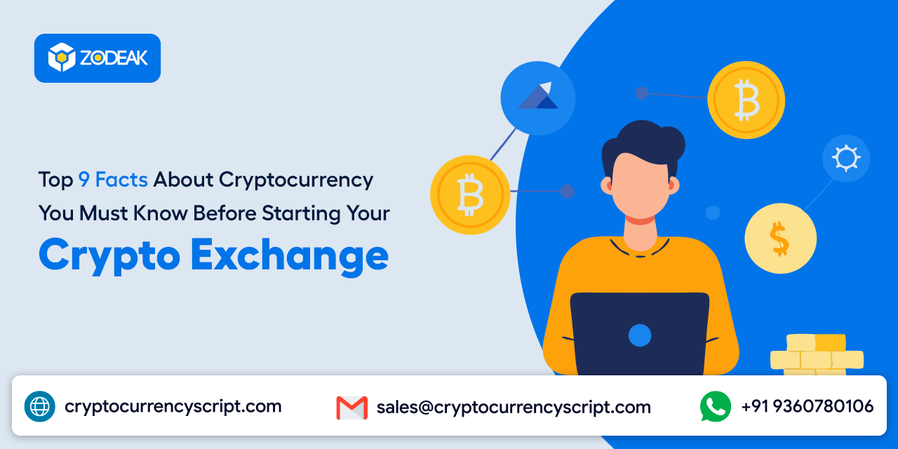 <strong>Top 9 Facts About Cryptocurrency You Must Know Before Starting Your Crypto Exchange</strong>