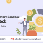 Crypto Regulatory Sandbox Explained: A Must-Know Investor Guide